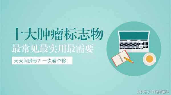 scc中文什么意思—scc縮寫(xiě)啥意思