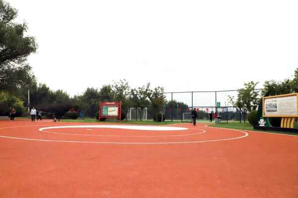 加快推动项目落地落实、加强项目落地