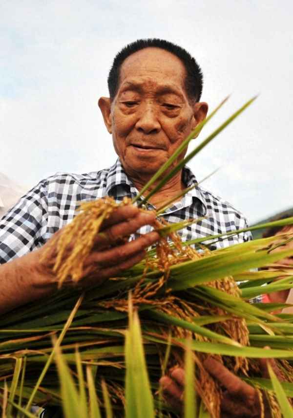 袁隆平基地在湖南詳細地點_袁隆平在湖南待了多少年