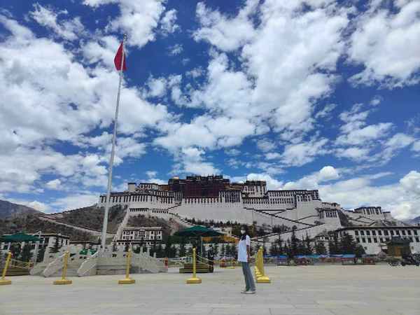 文化调研报告;大学生传统文化调研报告