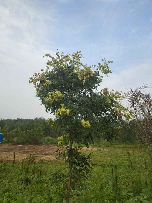 安全檢查反思內(nèi)容(安全反思大檢查自查反思報告)