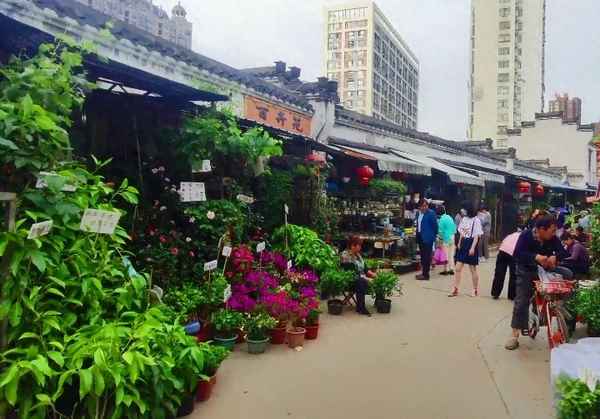 裕丰花鸟市场有夜市么_合肥裕丰花市有石头卖吗