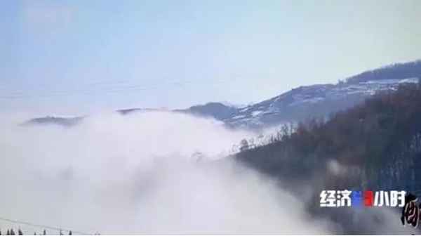 小鸟财经、播放小鸟股价