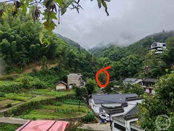 被养蜂人的蜜蜂蛰了怎么办怎样赔偿—养蜂人被蜜蜂蛰多了对身体有什么坏处