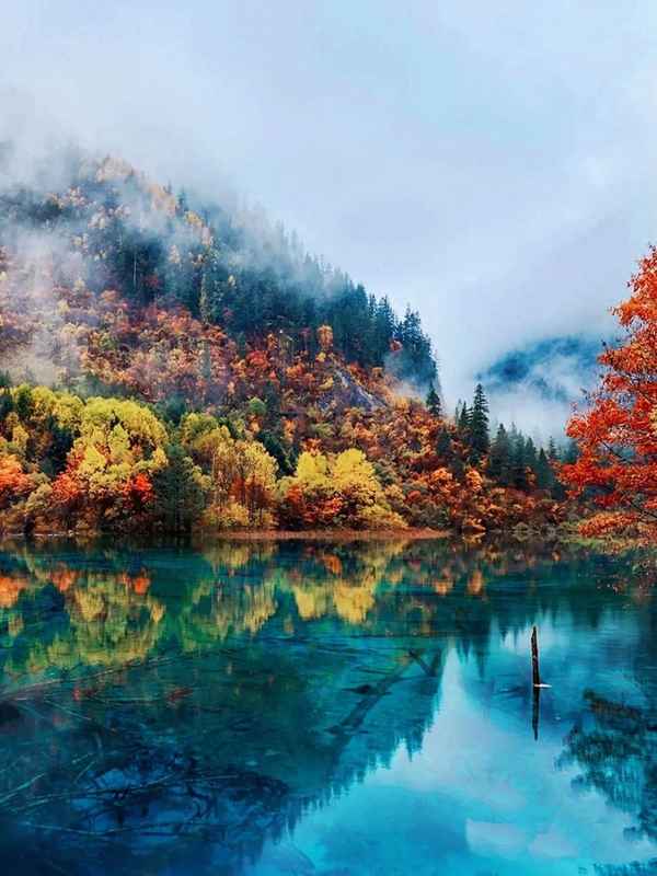 一句話形容九寨溝的美,一句話形容九寨溝的美雪美景