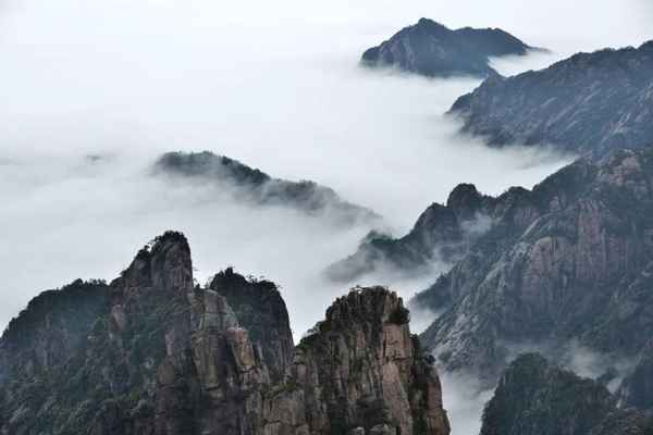 文化的特点;中国传统文化的特点