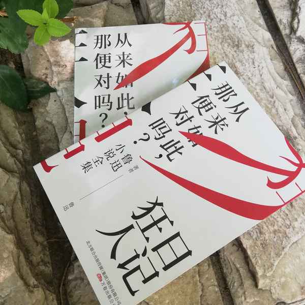狂人日記包含吶喊彷徨嗎(狂人日記包含吶喊彷徨嗎對嗎)