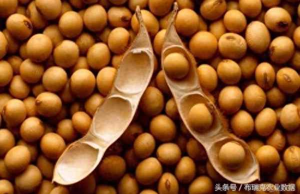 食用油涨跌行情在哪里看-食用油价格行情走势粮油网