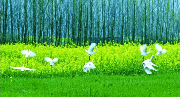 浙江省海洋生态红线划定方案,浙江海洋规划