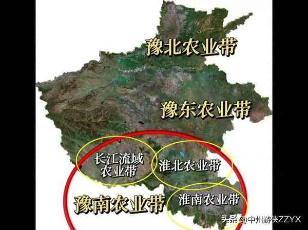 中国种水稻最多的地方(中国种水稻最多的地方是)