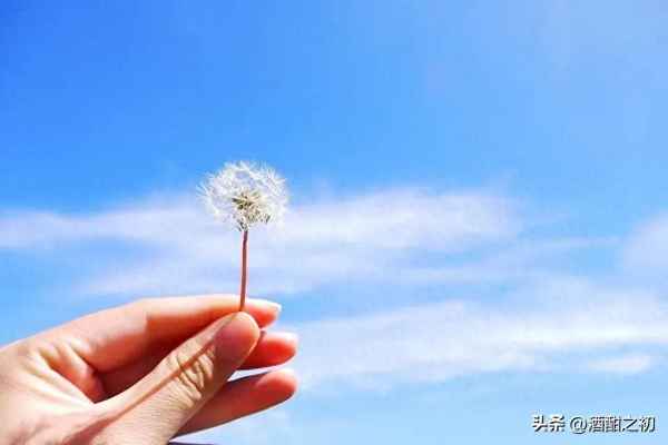 女之初是什么意思_之初啥意思