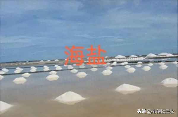 中国哪里产的盐最安全(中国哪里产的盐最安全又好吃)