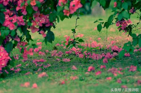 蓝田日暖玉生烟全诗译文(蓝田日暖玉生烟出自哪首诗)