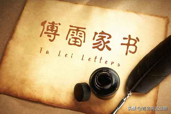 傅雷家書讀后感600字初二免費—《傅雷家書》讀后感500字左右初中