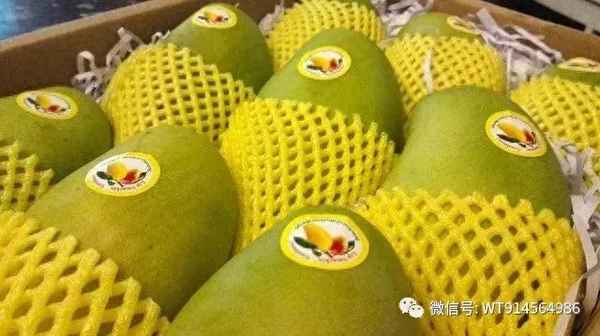 中國十大芒果排名-最好吃的芒果品種排名