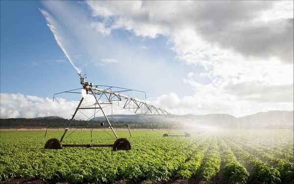 股票农机股价多少-正邦科技股票