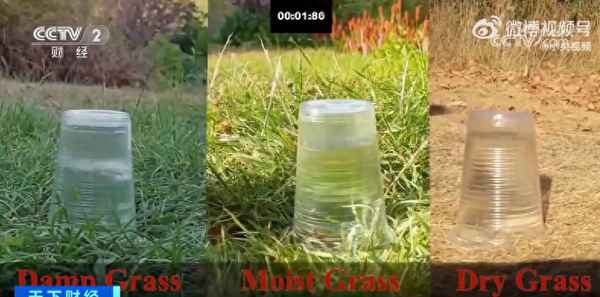 闹的闹死旱的旱死啥意思呀(闹得什么填词语两个字)