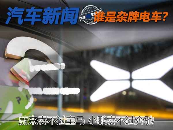 十大雜牌電動車排名_十大電動車排名前十名