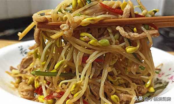 肉炒黃豆芽的做法大全、肉炒黃豆芽用焯水么