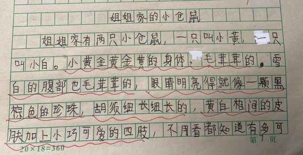 寫(xiě)我的姐姐作文300字三年級(jí),我的媽媽350字可抄免費(fèi)