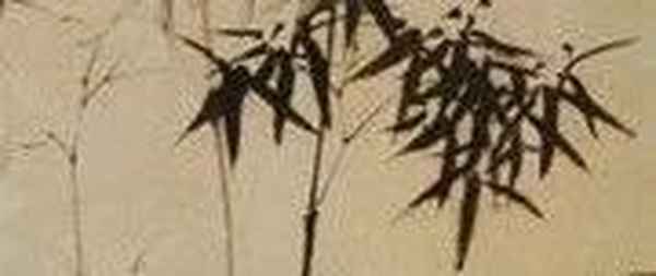 一枝一叶总关情出自哪位诗人-一枝一叶总关情是什么意思