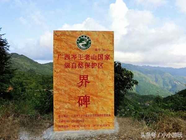 岑王老山能開車上山嗎,岑王老山登頂路線