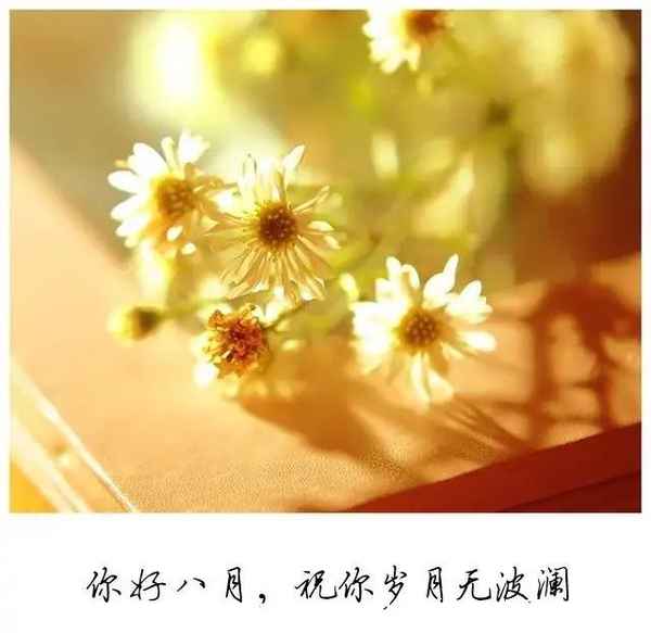 什么是大學生心理健康教育;心理學參考文獻有哪些