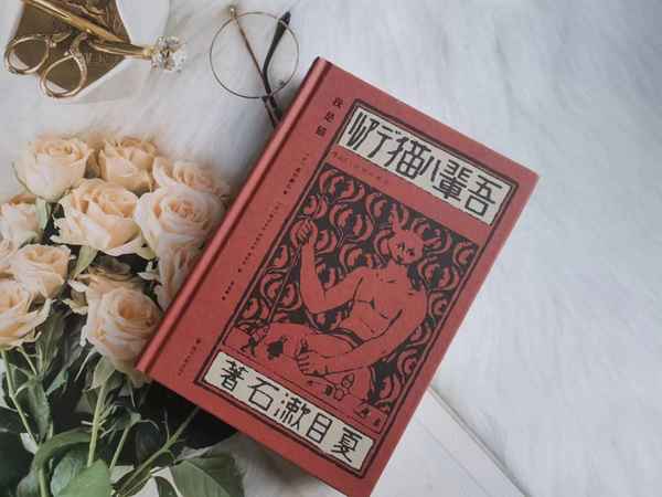 我是貓主要講了什么,《我是貓》內容