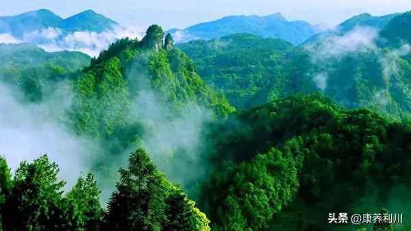 利川旅游必去十大景點;利川十大著名景點