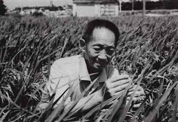 袁隆平對世界糧食生產的貢獻、袁隆平對世界糧食的影響