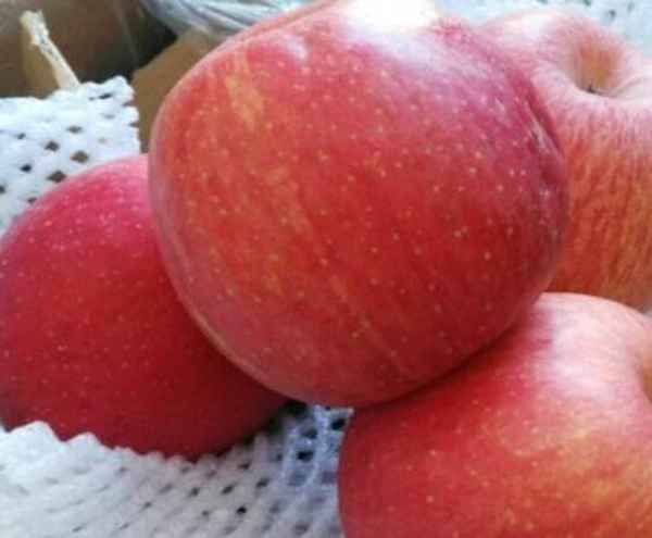 做淘宝一件代发赚钱吗-一件代发被顾客知道了