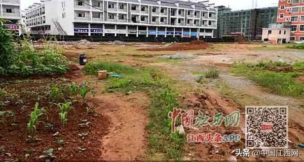 广昌房产网-广昌房产网签查询官网