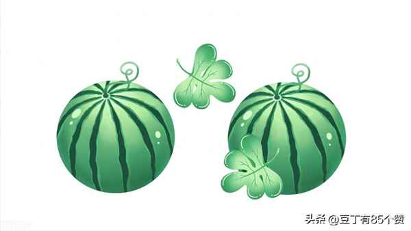 西瓜作文300字-我最喜歡的西瓜作文300字