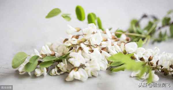洋槐花的藥用價(jià)值_洋槐花的藥用價(jià)值有哪些