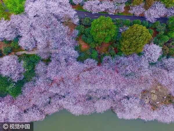 正是河豚欲上时的上一句(小扣柴扉久不开上一句)