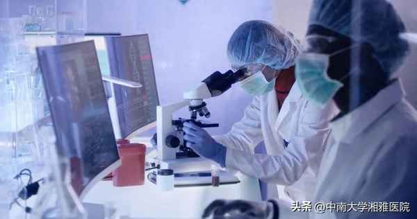 健康體檢計劃-體檢計劃表