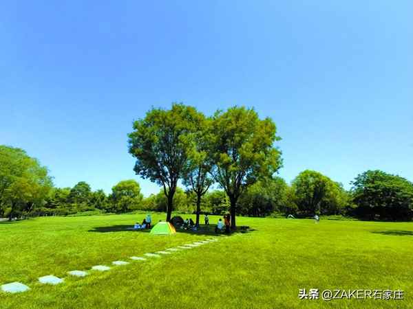 石家庄绿地的楼盘;绿地西斯莱公馆房价