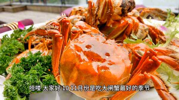 螃蟹的正確做法視頻(螃蟹怎么做好吃視頻)
