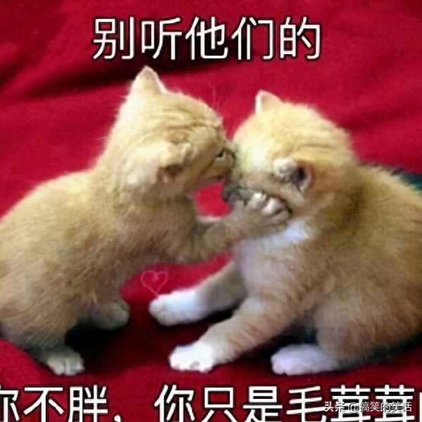 關于外賣小哥的笑話(有關外賣小哥的段子)