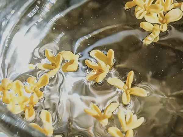 关于入秋的句子短句,入秋天凉的简短说说