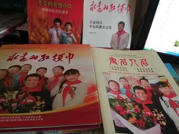 女生賈梅全傳讀后感20字_女生賈梅全傳好詞好句讀后感