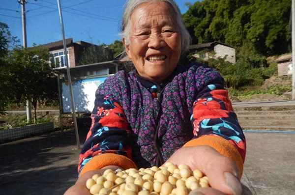 黑龙江大豆今天大豆期货价格_今天黄豆最新价格走势