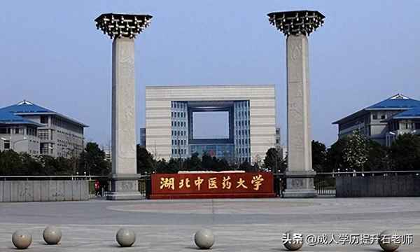 中醫藥大學成人教育—中醫藥大學成人教育畢業生自我鑒定