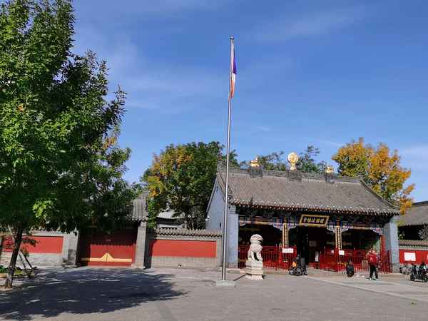 沈陽北塔在哪個位置(沈陽北塔在什么位置)