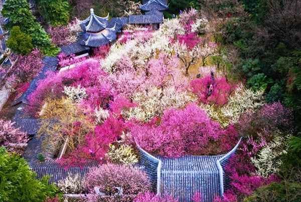 到底是春色满园还是,春色满园与哪个正确