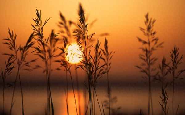 斜阳余晖的唯美诗句(日暮斜阳,余晖犹温)