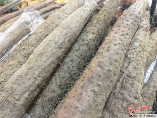 山藥排骨湯怎么燒_排骨燉山藥怎么燒
