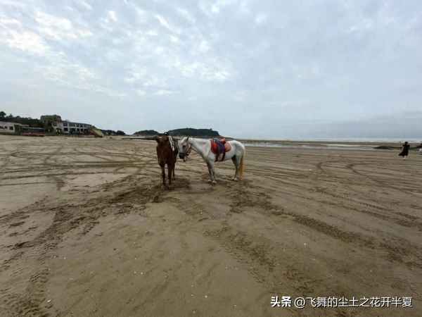 尼尔唐纳德沃尔什一生—尼尔唐纳德沃许