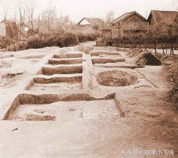 稻谷最早在哪一处遗址发现、稻谷最早在哪里发现