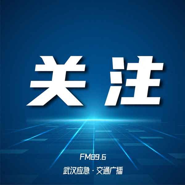 2023武漢上牌條件-武漢新車上牌政策2020年11月20號